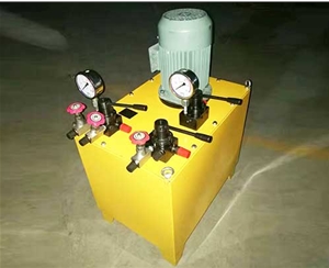 宁波非标电动泵生产