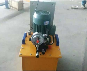 宁波标准电动泵供应生产